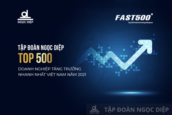 Ngoc Diep Group is ranked as Top 500 Fastest growing enterprises in Vietnam in 2021