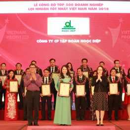 Top 500 Most Profitable Companies in Vietnam in 2018