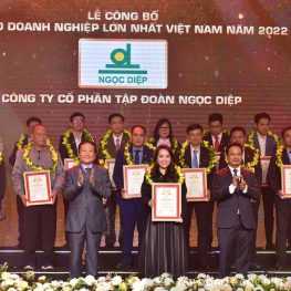 Tập đoàn Ngọc Diệp và Công ty Cổ phần Nhôm Ngọc Diệp tiếp tục góp mặt trong TOP500 Doanh nghiệp lớn nhất Việt Nam