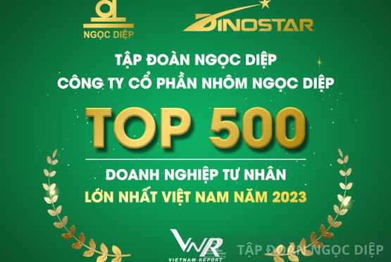 Ngoc Diep Group and Dinostar Aluminum promoted to the TOP500 largest private enterprises in Vietnam 2023