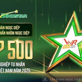 Tập đoàn Ngọc Diệp và Nhôm Dinostar xuất sắc thăng hạng trong Top 500 Doanh nghiệp tư nhân lớn nhất Việt Nam 2025