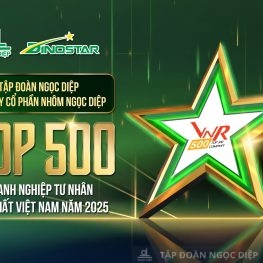 Ngoc Diep Group and DINOSTAR Aluminium achieve remarkable climb in Top 500 Largest Enterprises in Vietnam in 2025