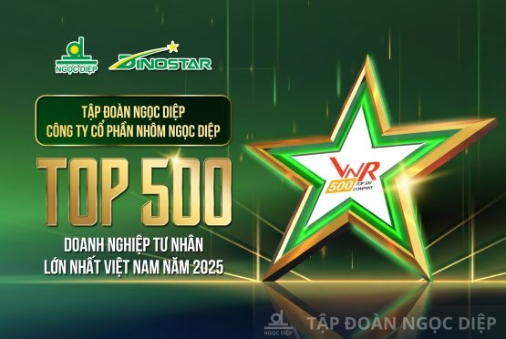 Ngoc Diep Group and DINOSTAR Aluminium achieve remarkable climb in Top 500 Largest Enterprises in Vietnam in 2025
