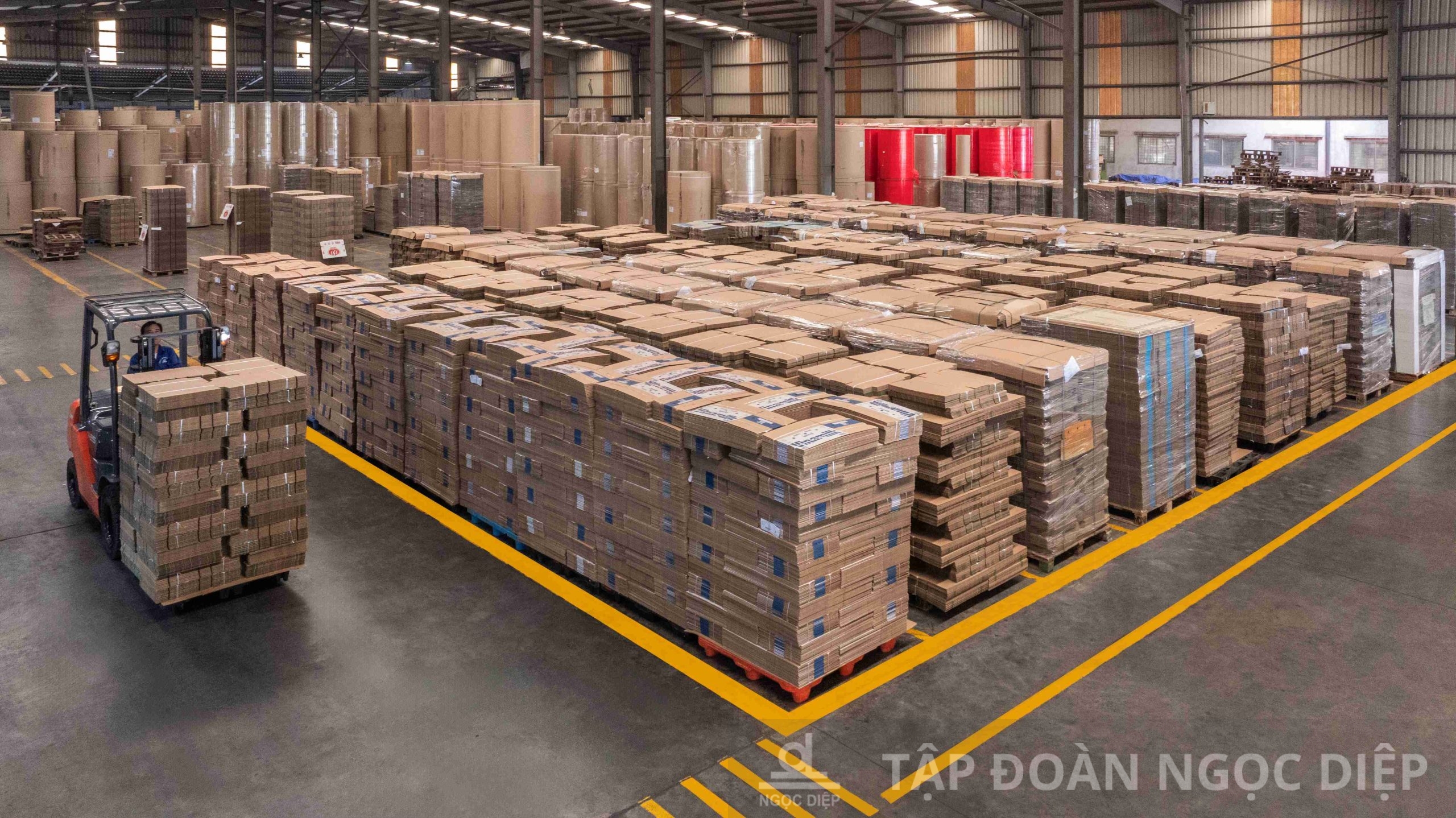 Bao bì Ngọc Diệp là nhà máy sản xuất bao bì carton quy mô lớn nhất miền Bắc. Ảnh: Tập đoàn Ngọc Diệp

