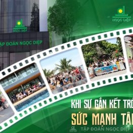 BA THẬP KỶ ĐỒNG HÀNH: KHI SỰ GẮN KẾT TRỞ THÀNH SỨC MẠNH TẬP THỂ